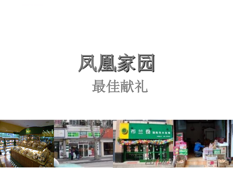 南昌凤凰家园商业街铺项目操作方案_第1页
