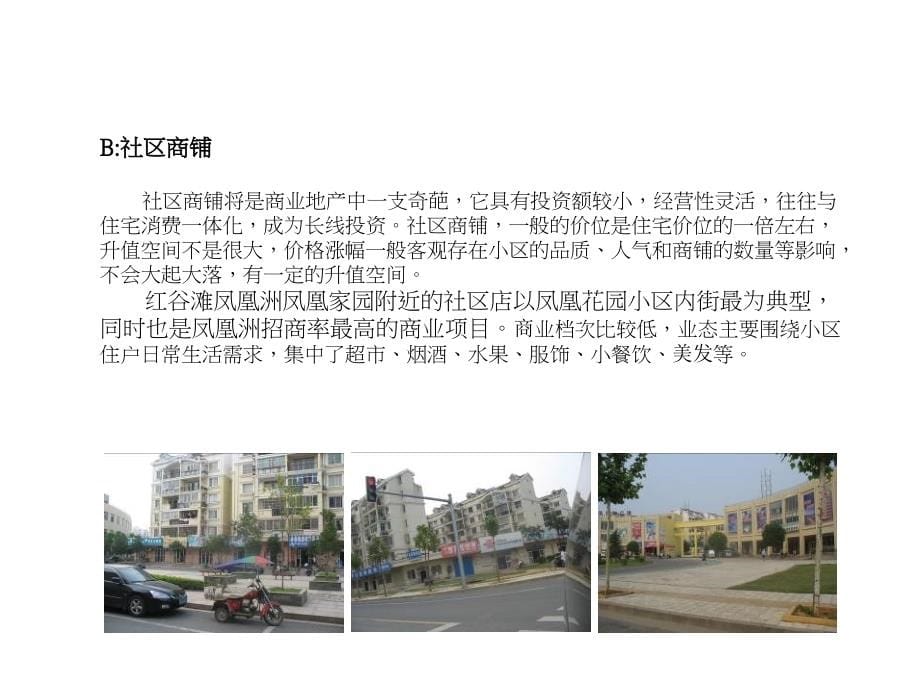 南昌凤凰家园商业街铺项目操作方案_第5页