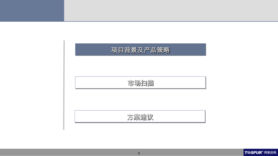 常发地产嘉定新城项目前期定位报告_第2页