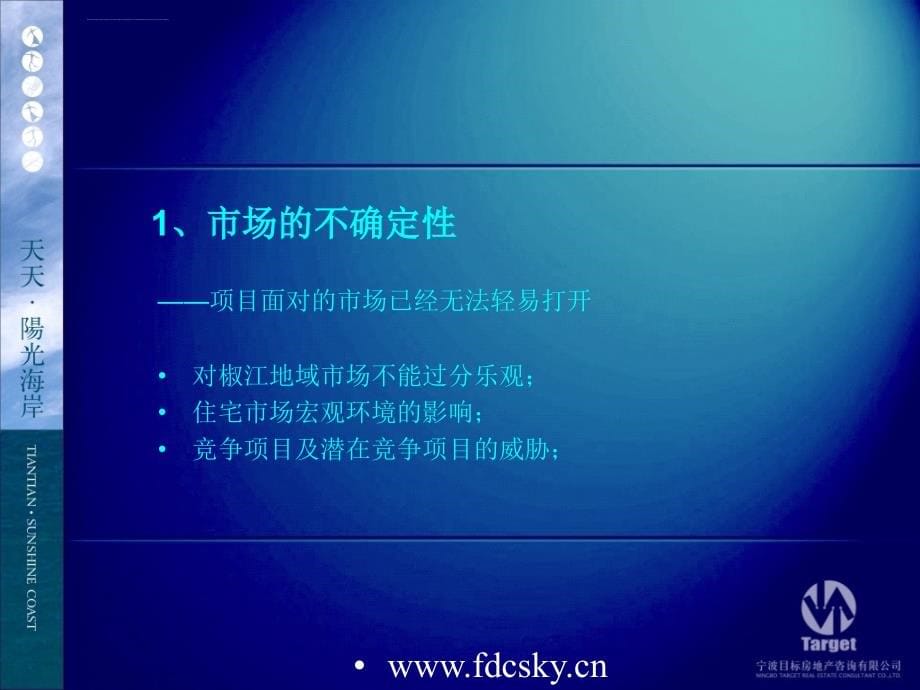 台州天天阳光海岸整合推广策略提案ppt培训课件_第5页