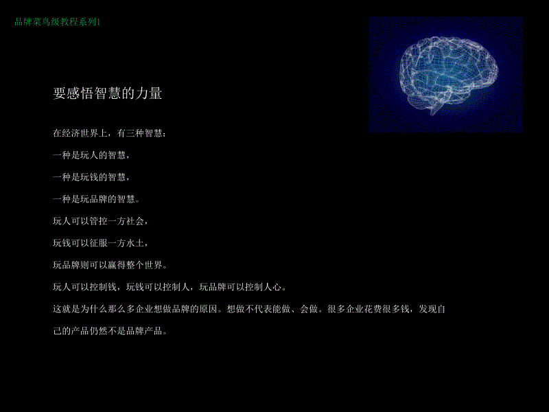 品牌工作的初步架构 朱曾亮_第2页