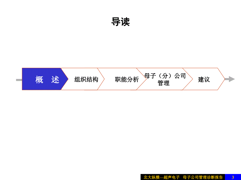 母子公司管理诊断报告_第3页