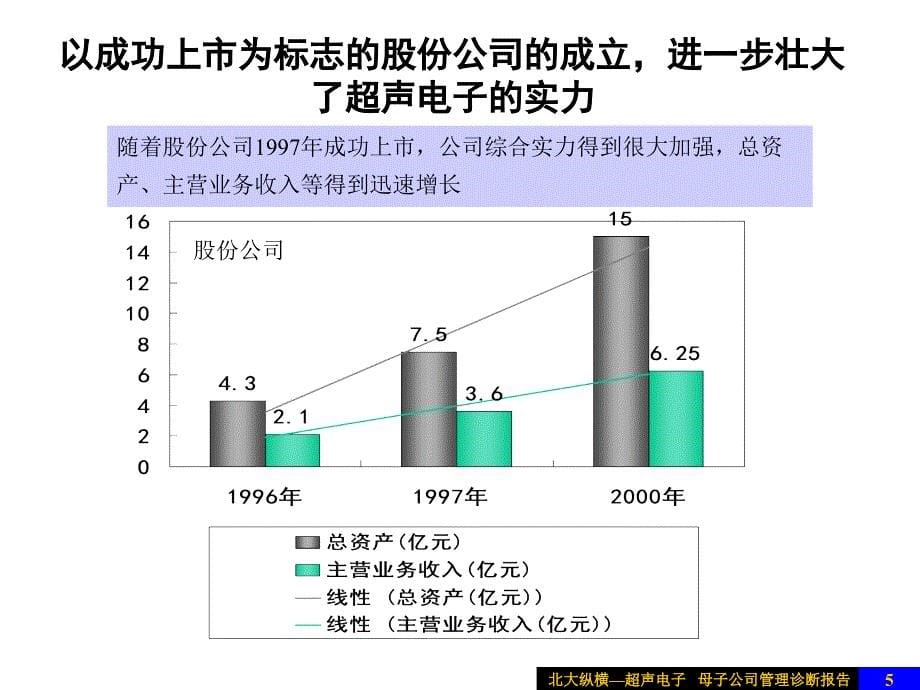 母子公司管理诊断报告_第5页