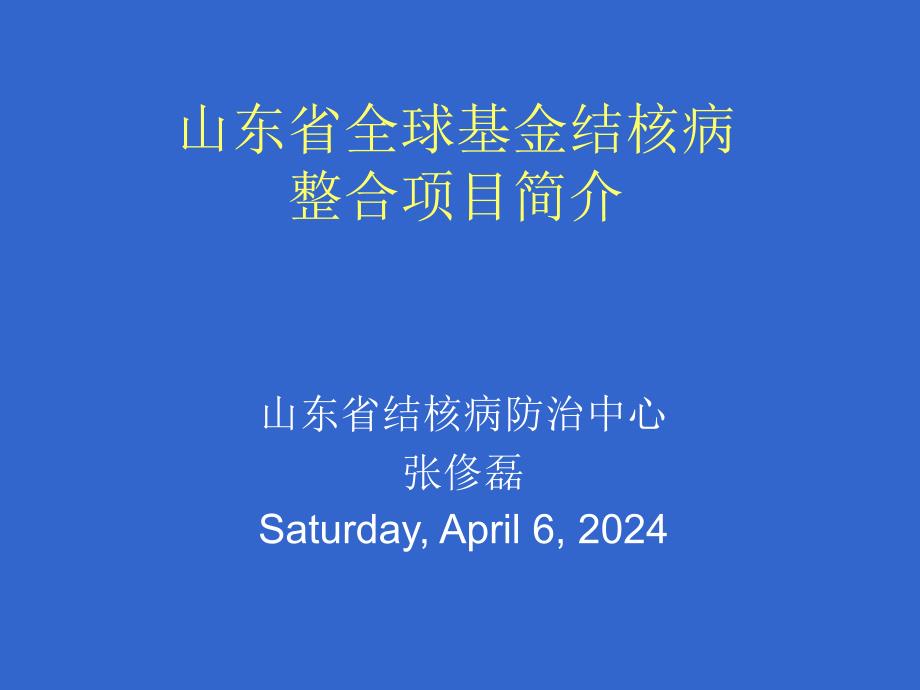 山东省全球基金结核病项目简介ppt培训课件_第1页