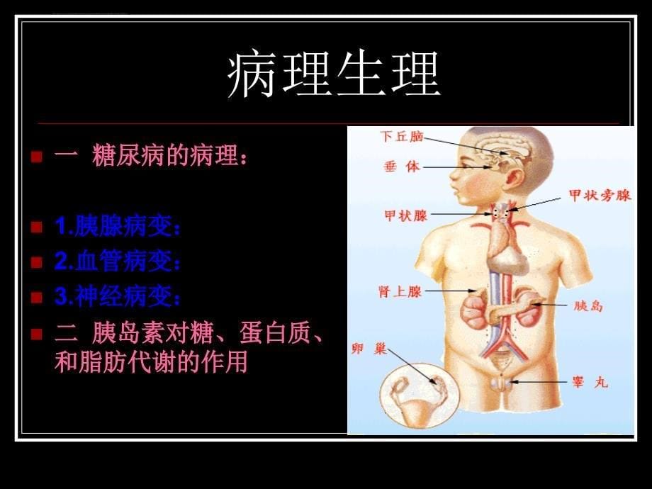 糖尿病健康教育及饮食指导ppt培训课件_第5页