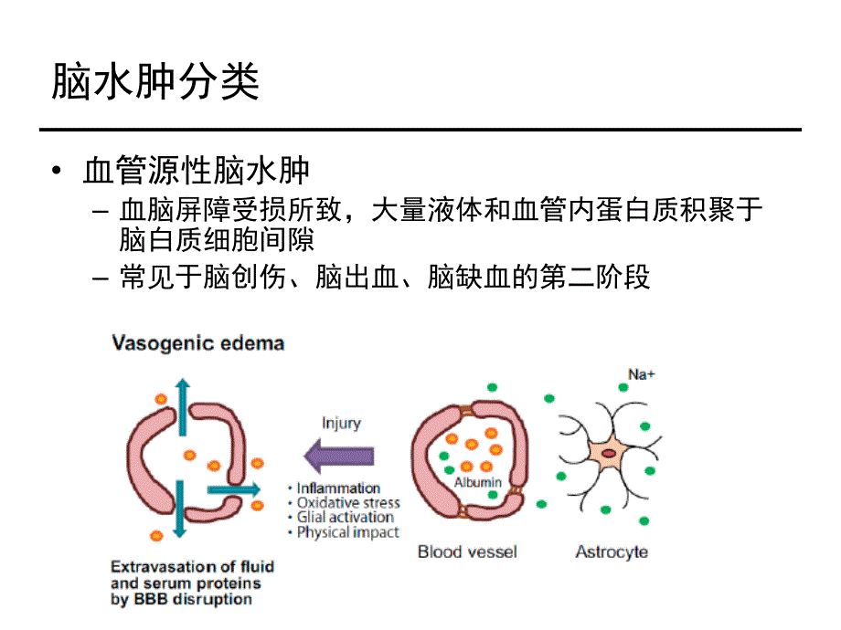 脑水肿的发病机理及药物治疗-1-医院及讲者信息_第3页