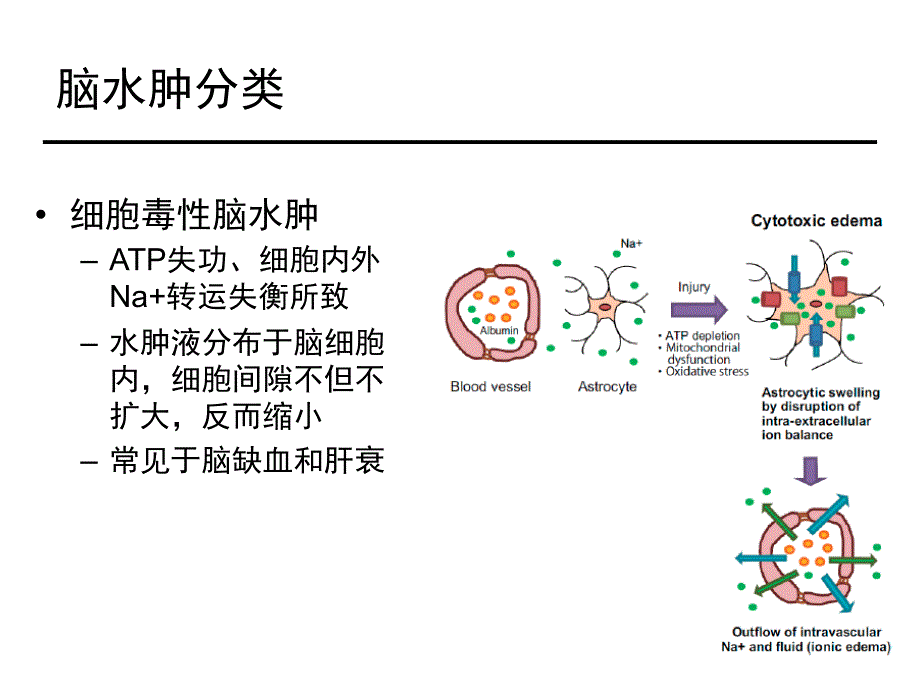 脑水肿的发病机理及药物治疗-1-医院及讲者信息_第4页