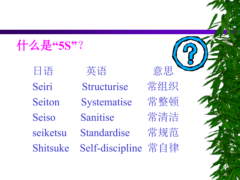 质量管理体系培训系列教材5s活动教程_第4页