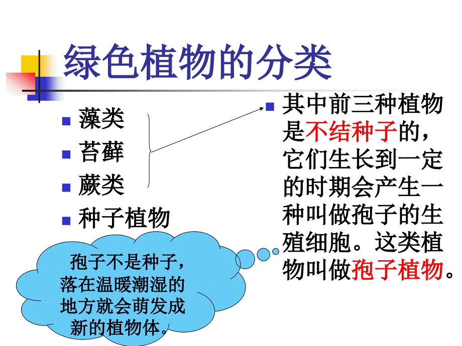 生物：3.1.1《藻类、苔藓和蕨类植物》课件6(七年级上)_第2页