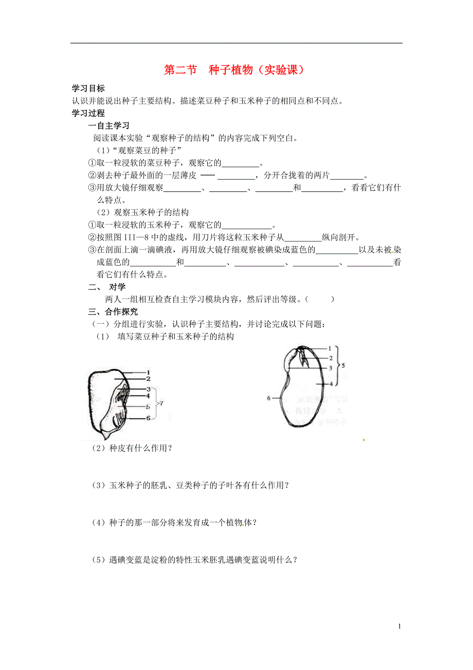 七年级生物上册 第三单元  《种子植物》导学案  (1)_第1页