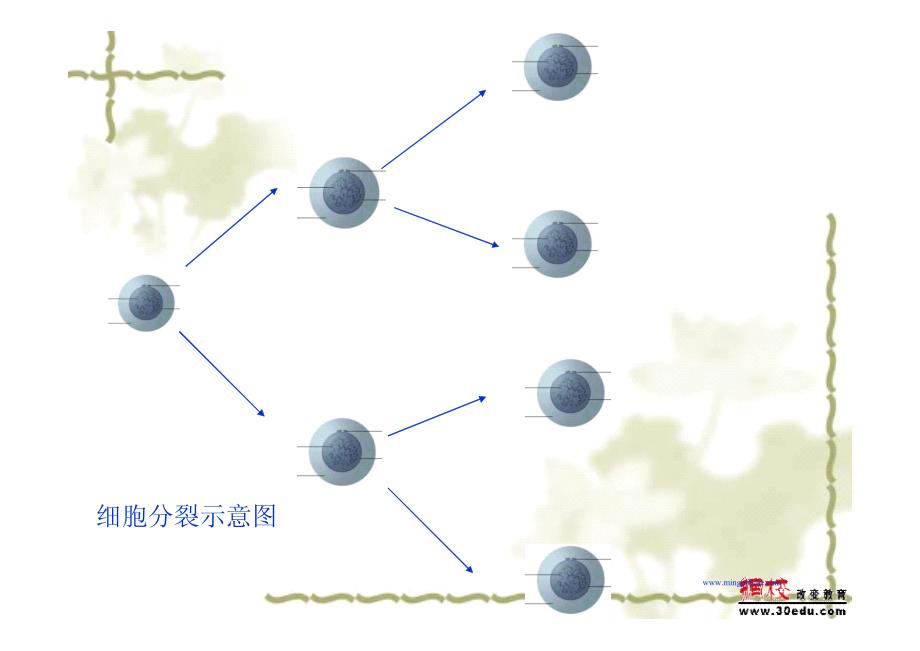 七年级数学有理数的乘方6_第2页