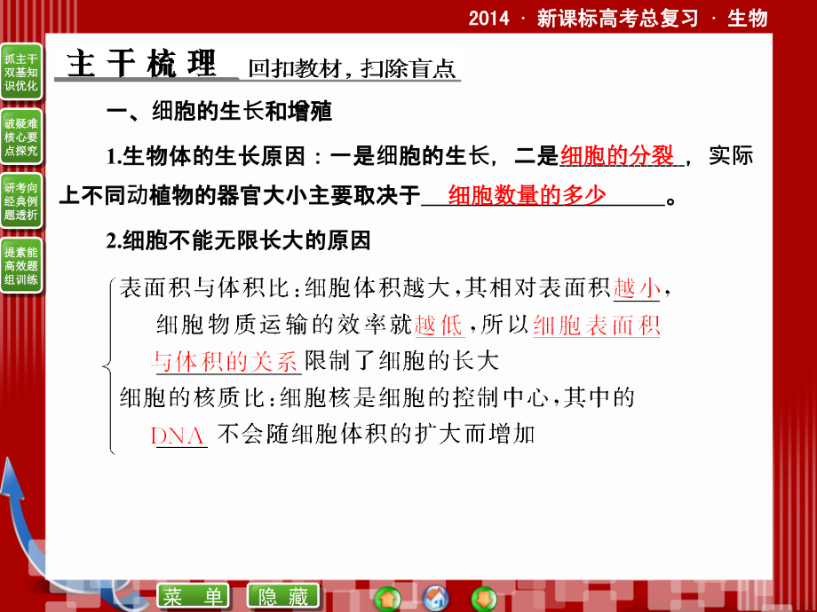 2014届新课标高考生物总复习同步课件：1-6-1 细胞的生命历程_第3页