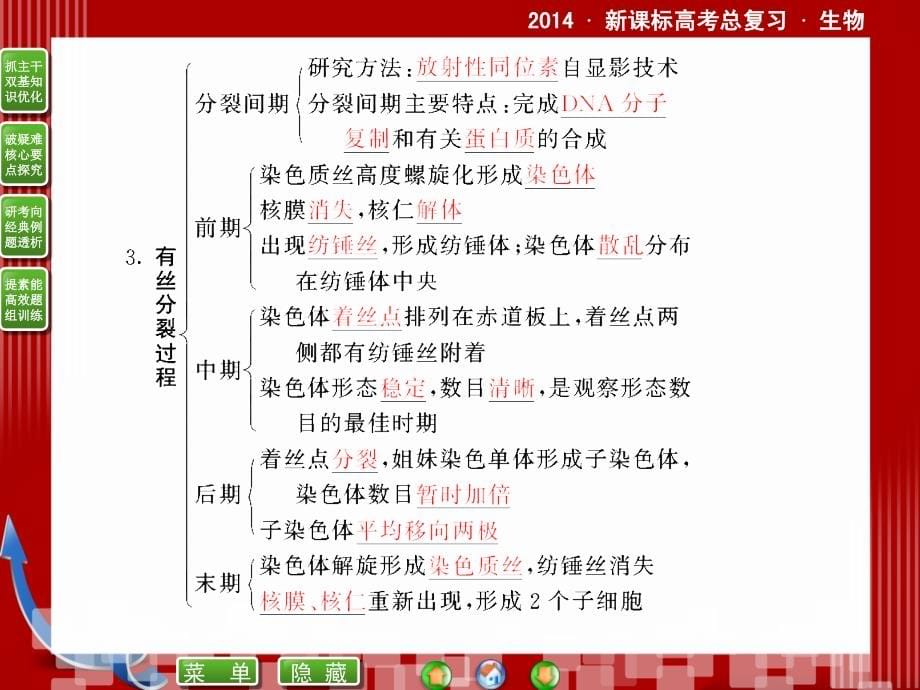 2014届新课标高考生物总复习同步课件：1-6-1 细胞的生命历程_第5页