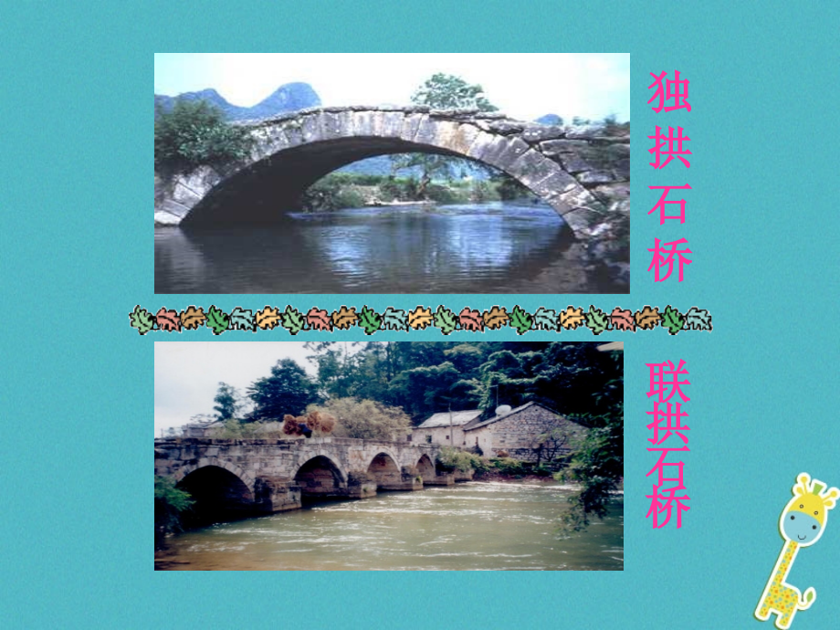 八年级语文上册第五单元第17课《中国石拱桥》课件1新人教版_第4页