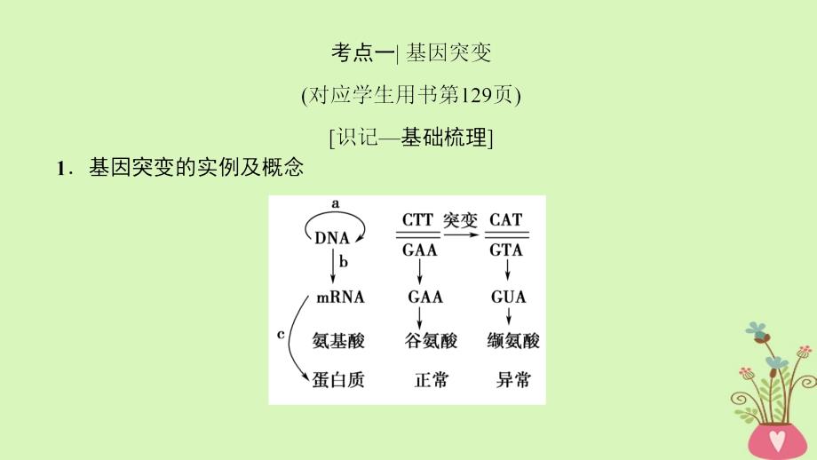 2019版高考生物一轮复习 第7单元 生物的变异、育种与进化 第1讲 基因突变和基因重组课件 苏教版_第4页