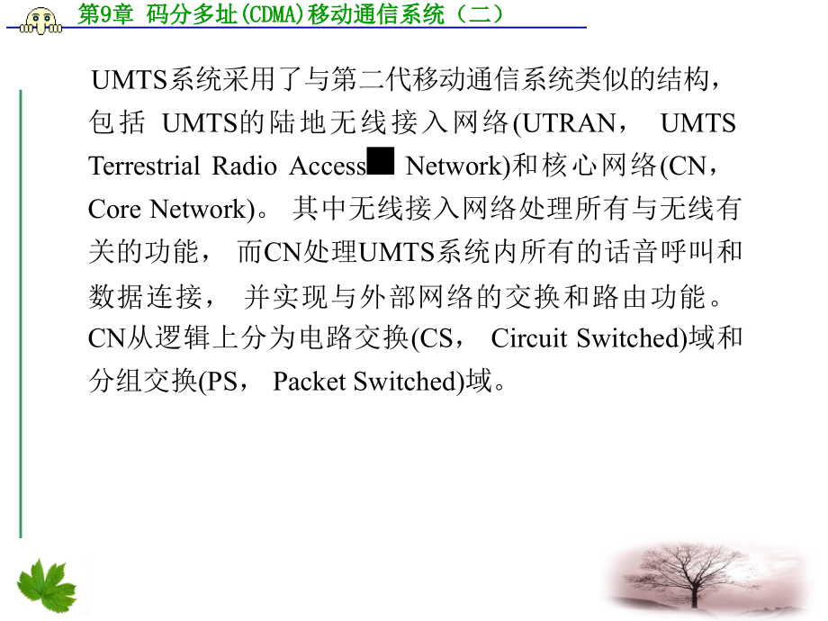 码分多址（cdma）移动通信系统ppt培训课件_第3页