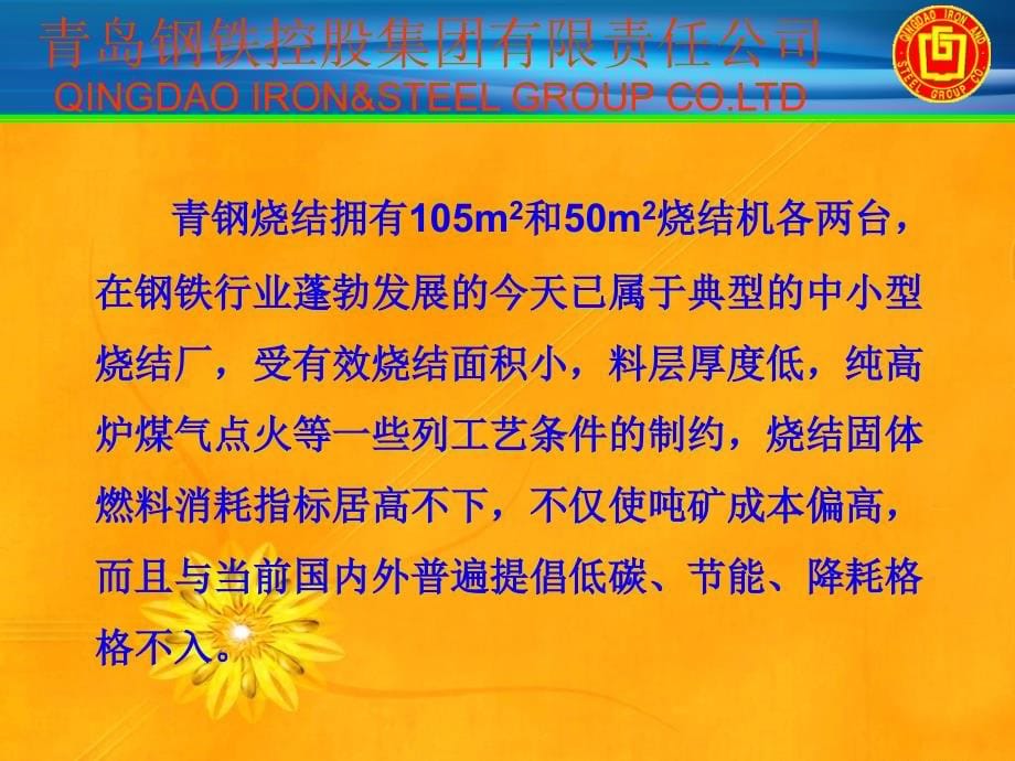 冶金质量协会降低烧结固体燃料消耗ppt培训课件_第5页