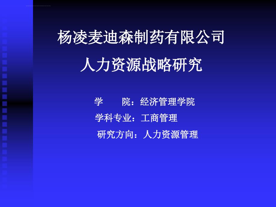 杨凌麦迪森制药有限公司人力资源战略研究ppt培训课件_第1页