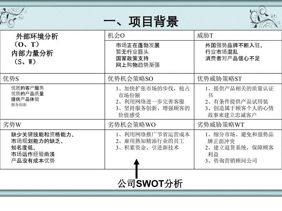 某精油网站商业计划书ppt培训课件_第5页