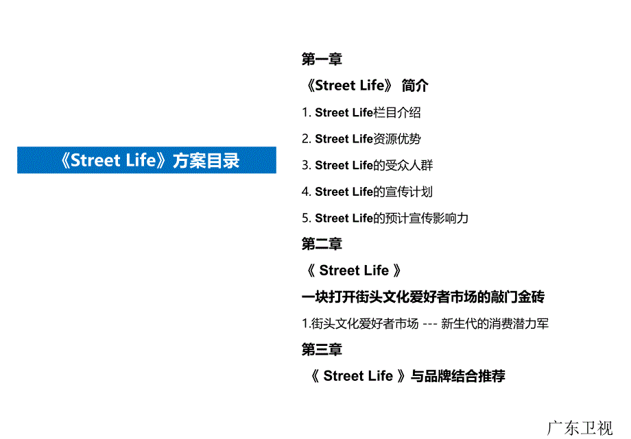 广东卫视streetlife（我的街头人生）栏目策划方案_第2页