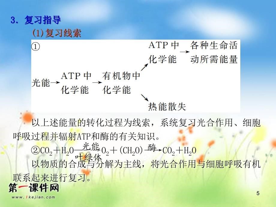 2013届高考生物第一轮单元教学分析复习_7ppt培训课件_第5页