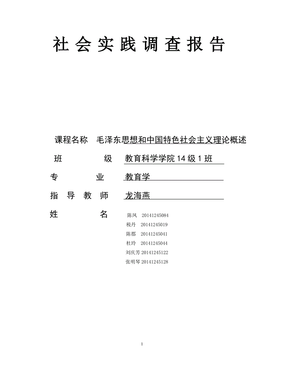 毛概  社会实践调查报告_第1页