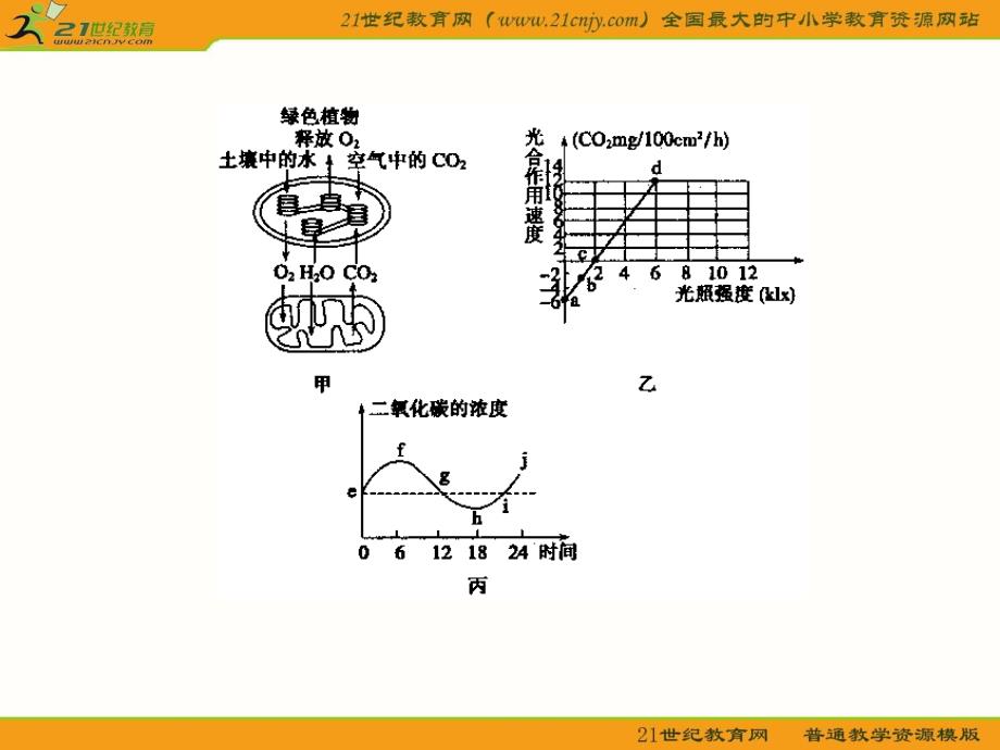 生物规范答题有关细胞呼吸和光合ppt培训课件_第2页