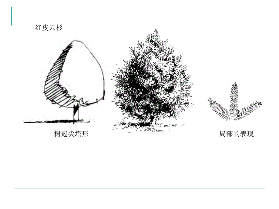 景观设计手绘表现ppt培训课件_第4页