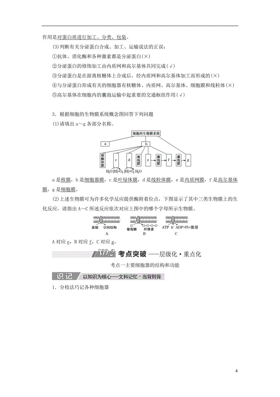 2019版高考生物一轮复习 第二单元 细胞的结构与物质的输入和输出 第二讲 细胞器——系统内的分工合作精选教案_第4页