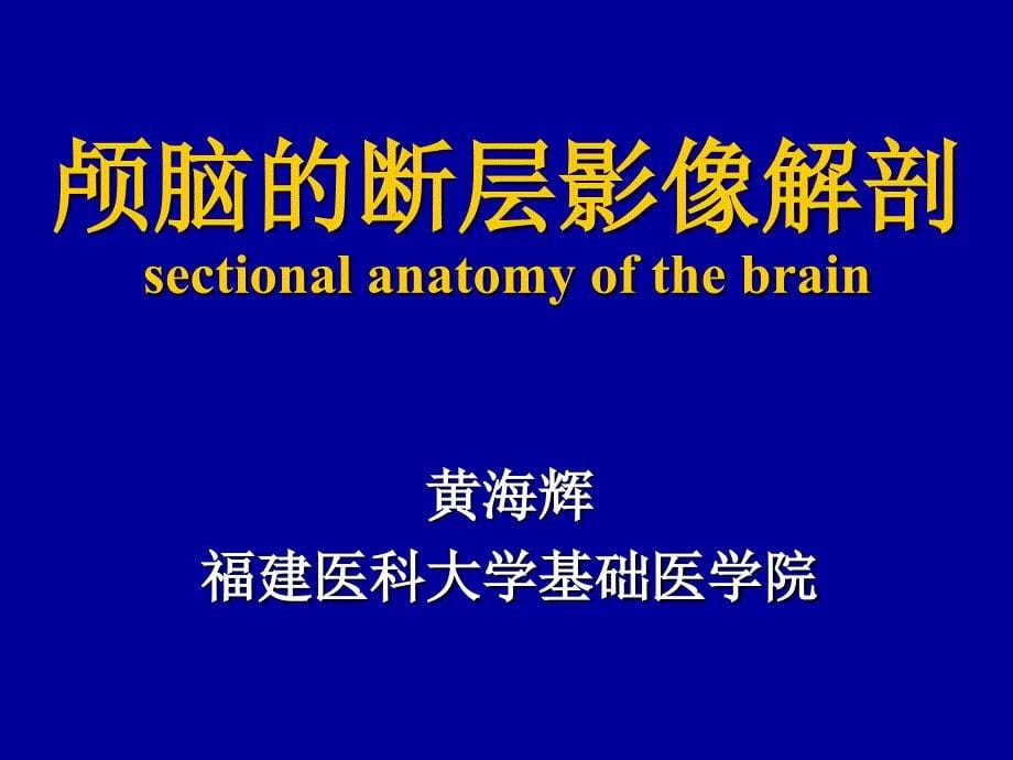 颅脑的横断层解剖ppt培训课件_第5页