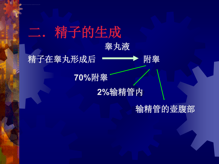 精液的组成及作用ppt培训课件_第4页