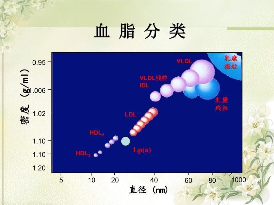 高血脂对冠心病的影响ppt培训课件_第5页