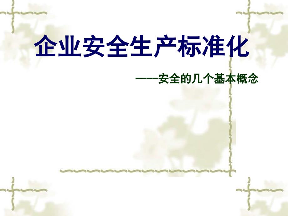 企业安全生产标准化ppt课件安全的几个基本概念_第1页