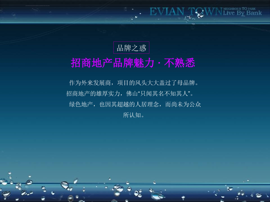 招商地产佛山招商依云水岸项目推广核心探讨ppt培训课件_第4页