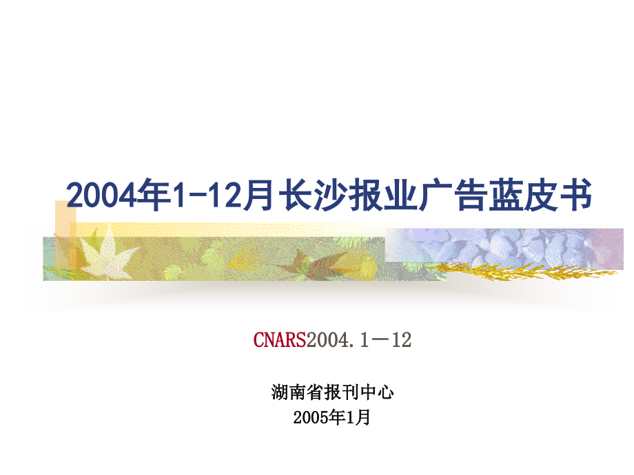 2004年1-6月长沙报业广告市场分析_第1页