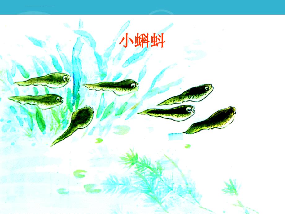 二年级语文下册小蝌蚪找妈妈课件之一浙教版_第2页
