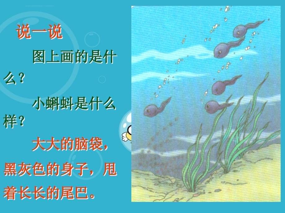 二年级语文下册小蝌蚪找妈妈课件之一浙教版_第5页