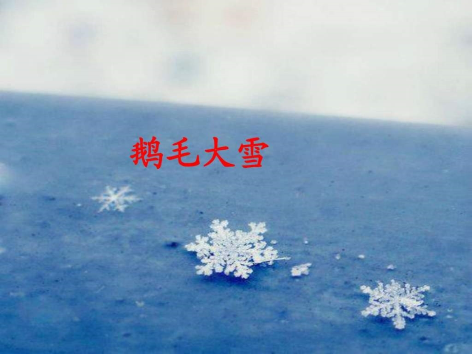 人教版小学二年级语文上册课件看雪_5_第2页