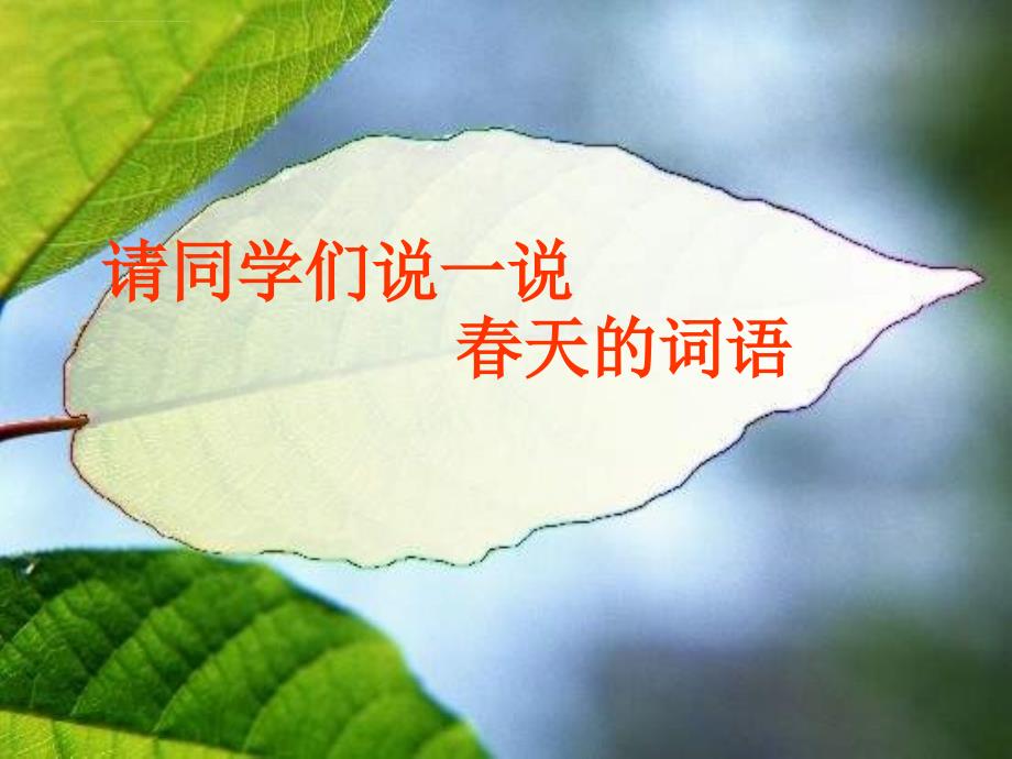 春雨的色彩课件小学汉语人教课标版汉语二年级下课件_6_第2页
