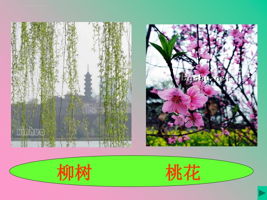 春雨的色彩课件小学汉语人教课标版汉语二年级下课件_6_第3页