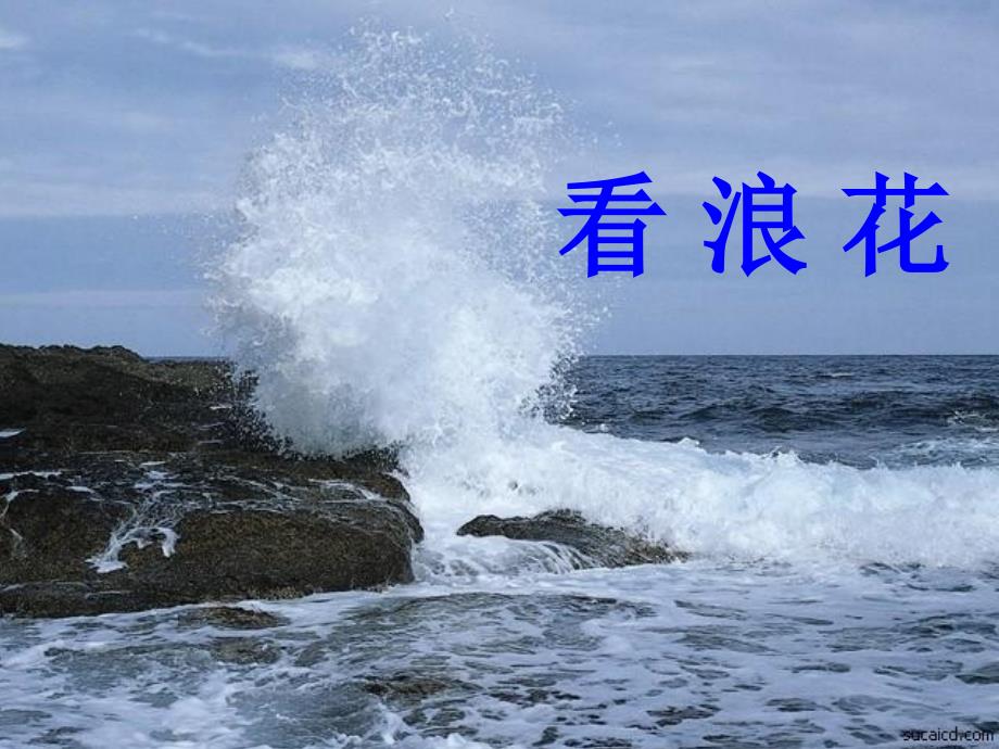 小学语文二年级下册看浪花课件_1_第2页