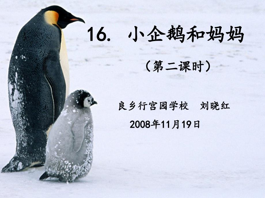 2017年度秋北京版本语文二上小企鹅和妈妈课件_第4页