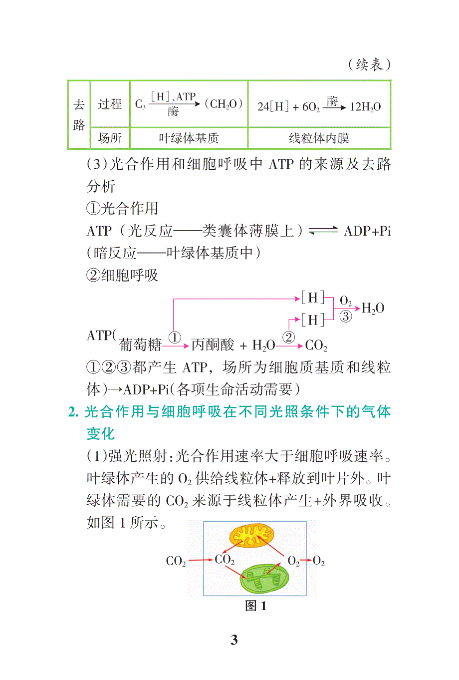 高中生物知识大全-高考生物重点题型解题必备PDF_第3页