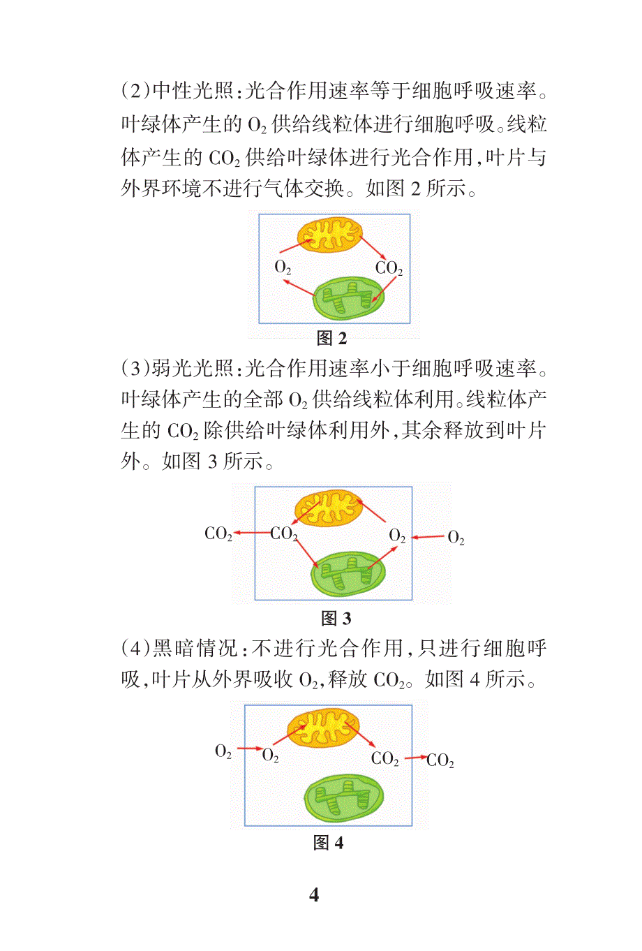 高中生物知识大全-高考生物重点题型解题必备PDF_第4页