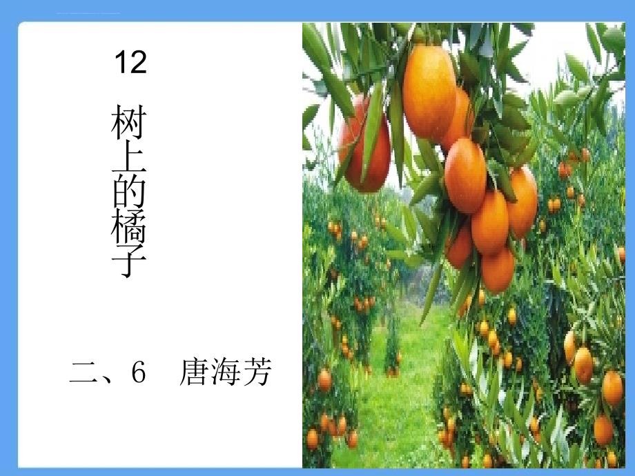 小学语文二年级下册树上的橘子课件_第1页
