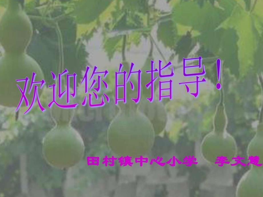 小学人教版二年级语文上册我要的是葫芦课件_1_第1页