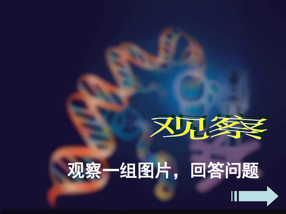 八年级生物基因控制生物的性状3_第1页