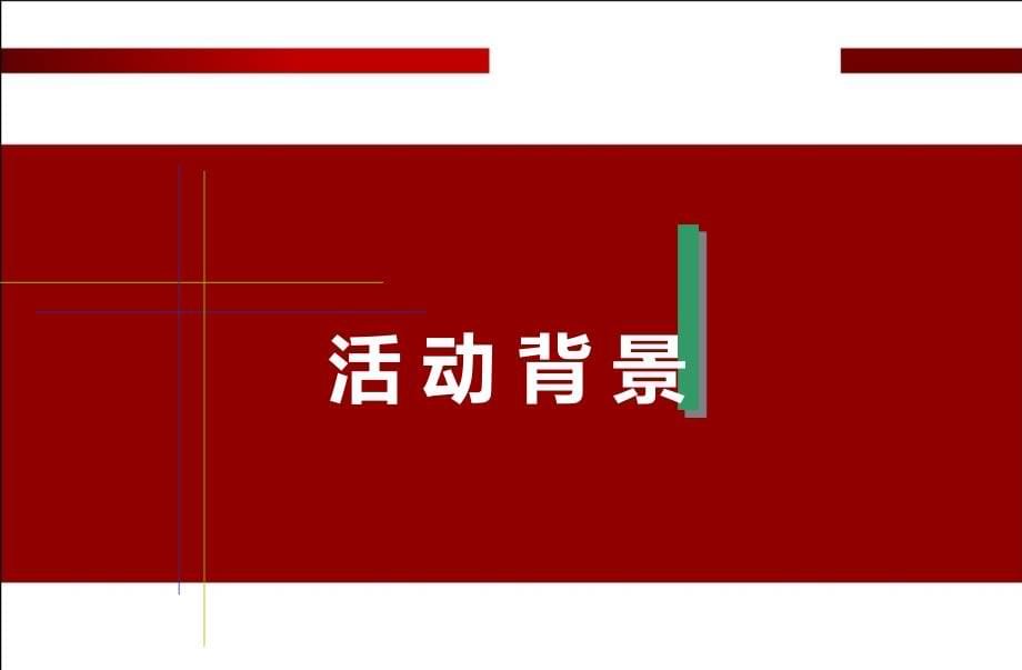 2010年电信行业集团客户年终答谢会方案精品文档_第5页