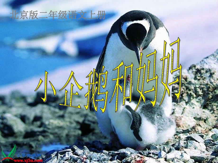 北京版二年级上册小企鹅和妈妈课件_2_第1页