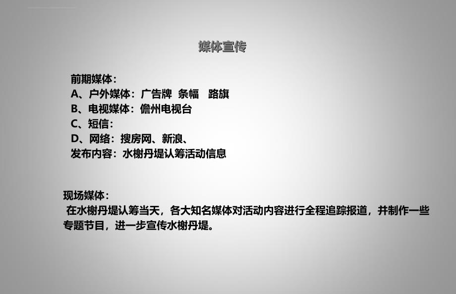 缤纷夏日水岸生活水榭丹堤楼盘地产项目认筹活动策划方案_第4页